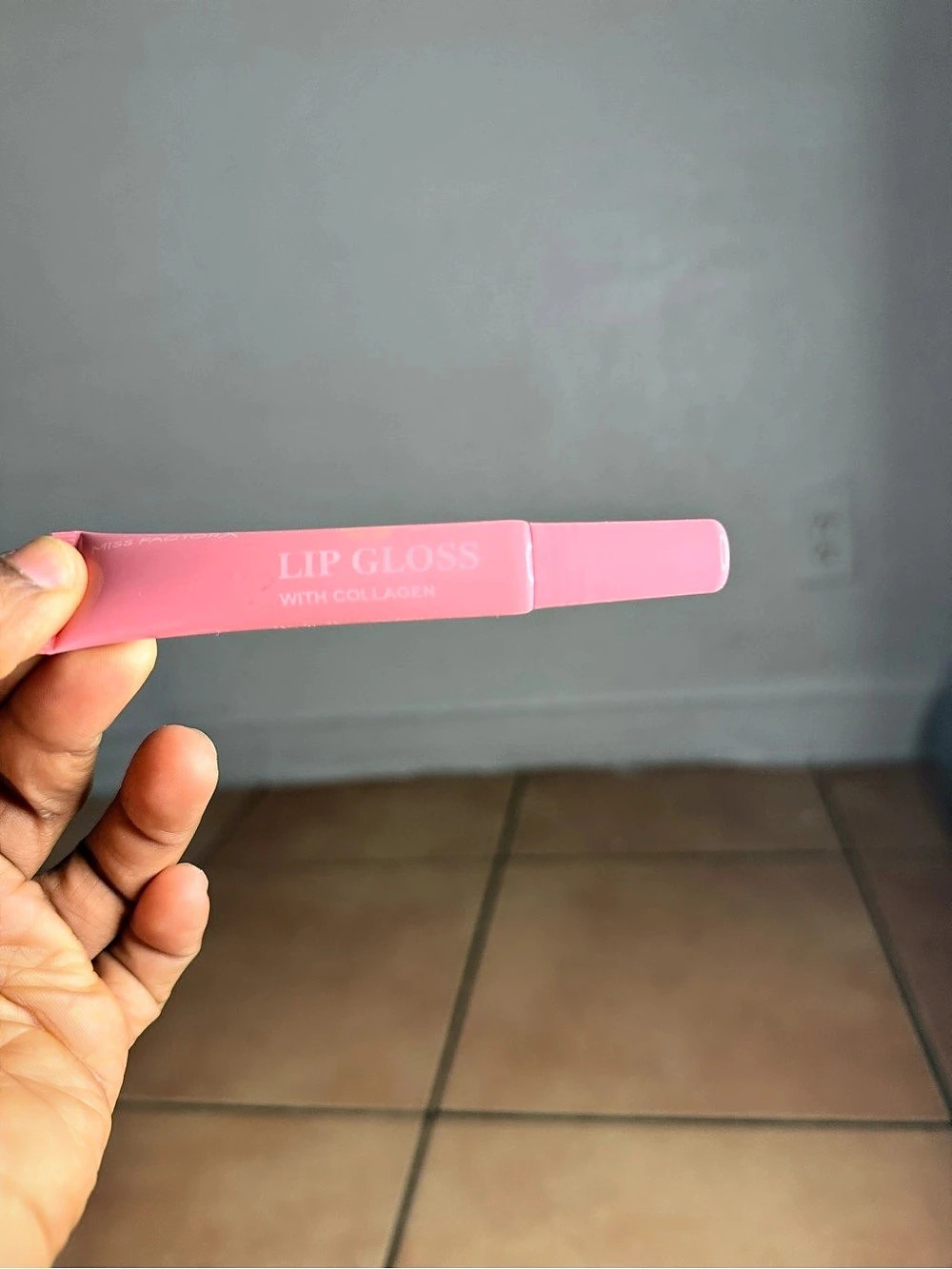Lip Gloss in Pink NWT